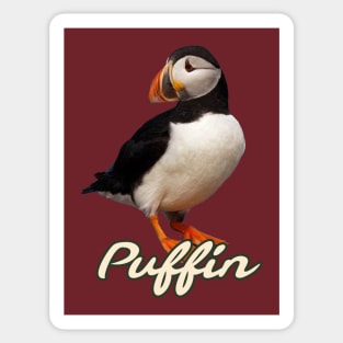 PUFFIN Sticker